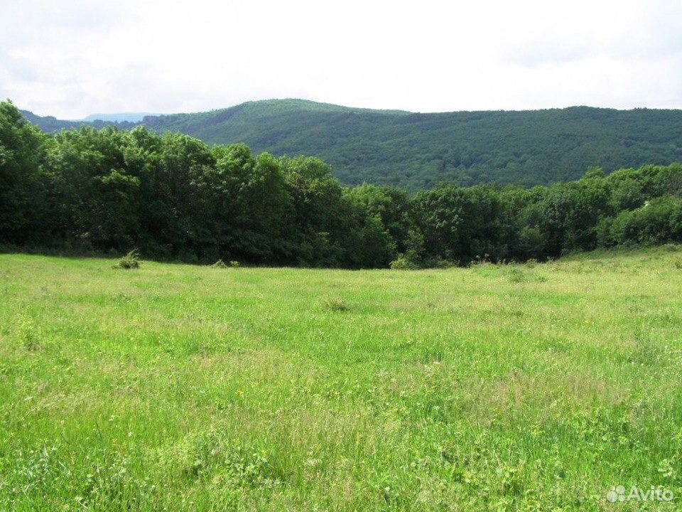 Сельхоз земля бахчисарайский район. Село верхоречье. Зеленое крым бахчисарайский район. Долинное бахчисарайский район. Участок в бахчисарае.