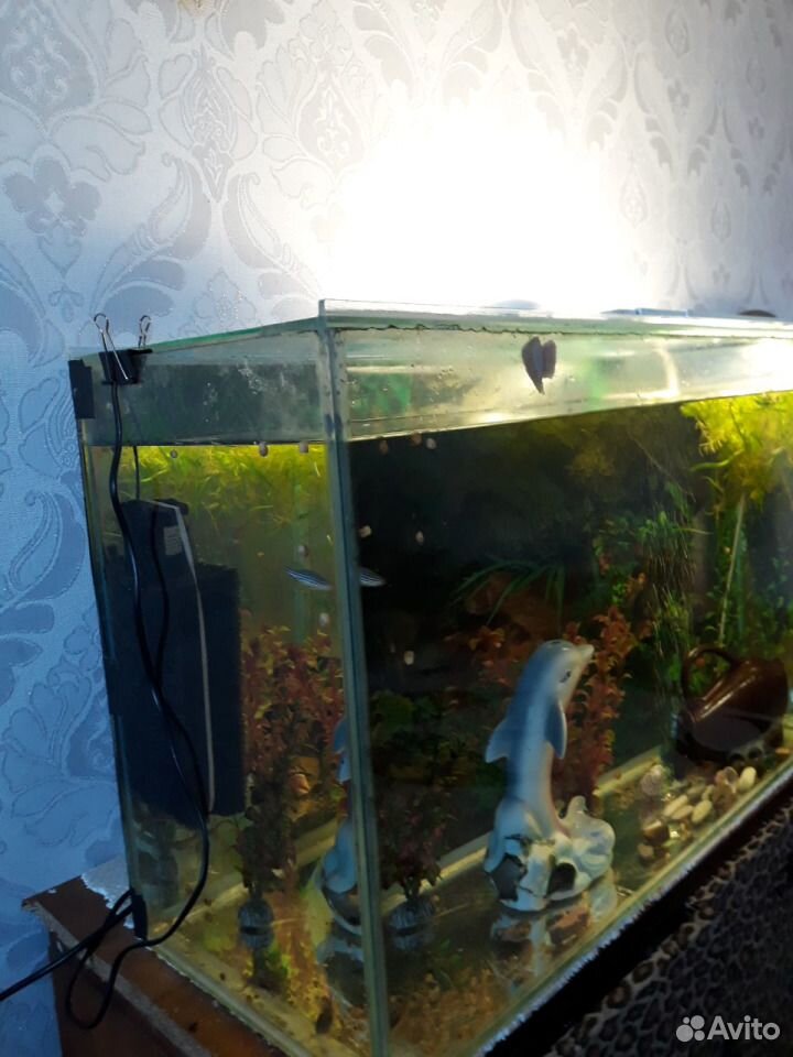 Продам аквариум 120 литров вместе с рыбками купить на Зозу.ру - фотография № 2