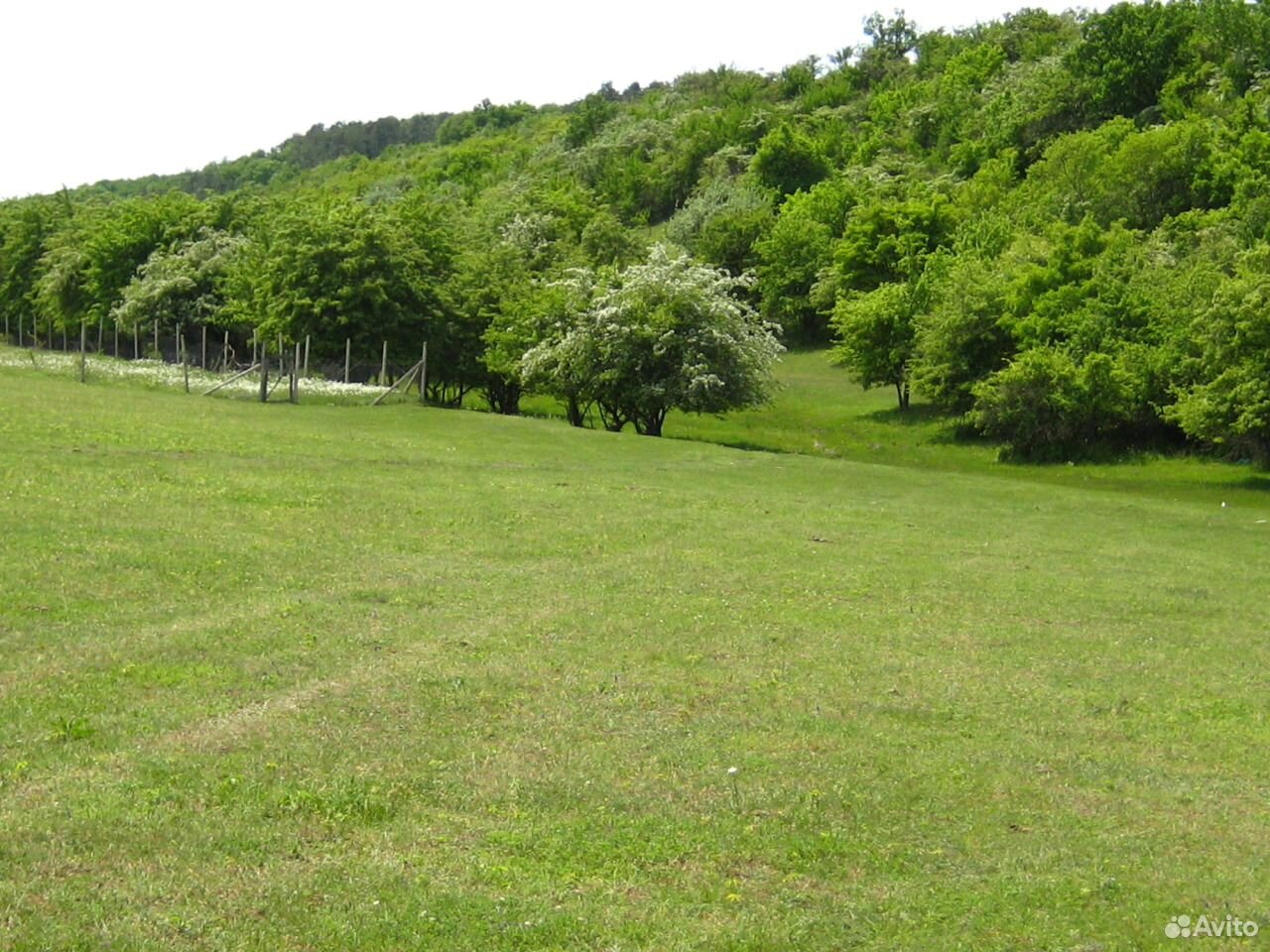 Земельные торги крым. Земельные участки в Крыму.