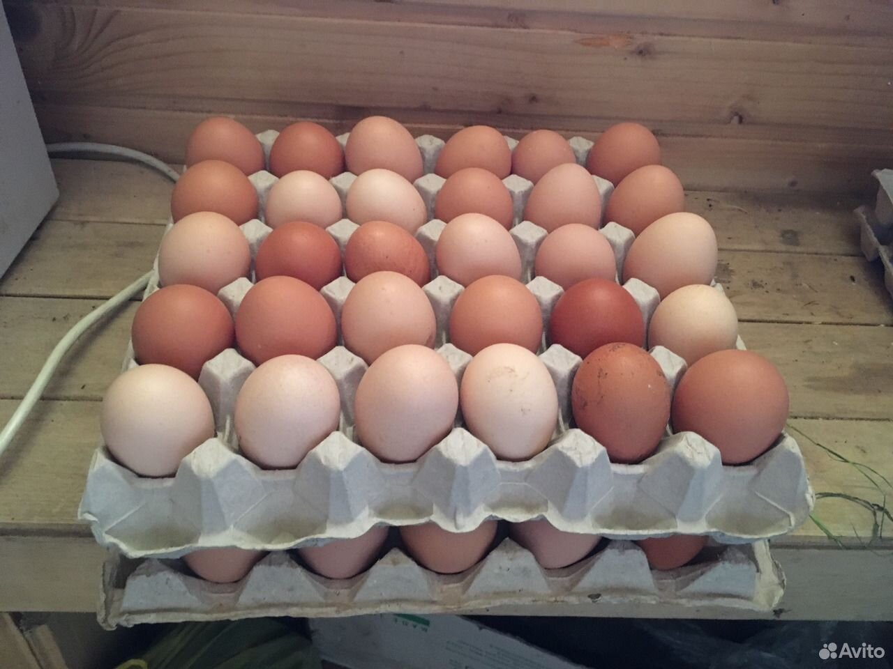 Яйца куриные со своего хозяйства купить на Зозу.ру - фотография № 2