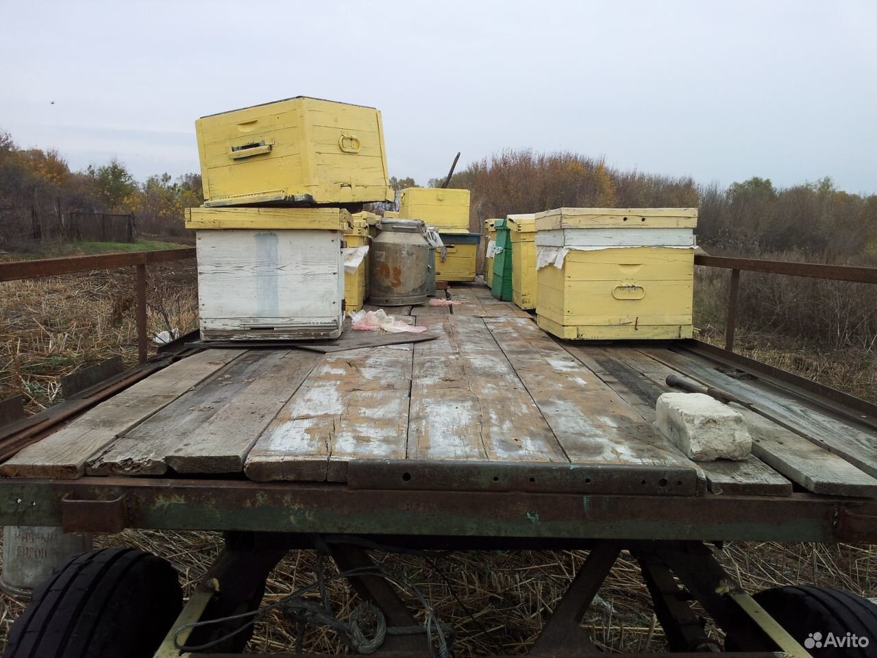 Прицеп для перевозки пчел купить на Зозу.ру - фотография № 3