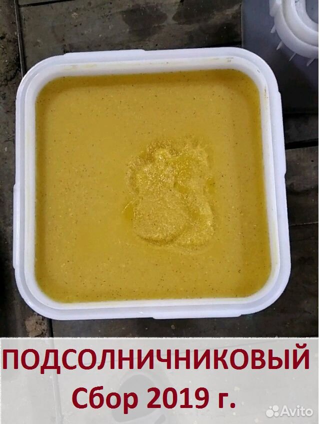 Продам настоящий вкусный мед в Тосно купить на Зозу.ру - фотография № 4