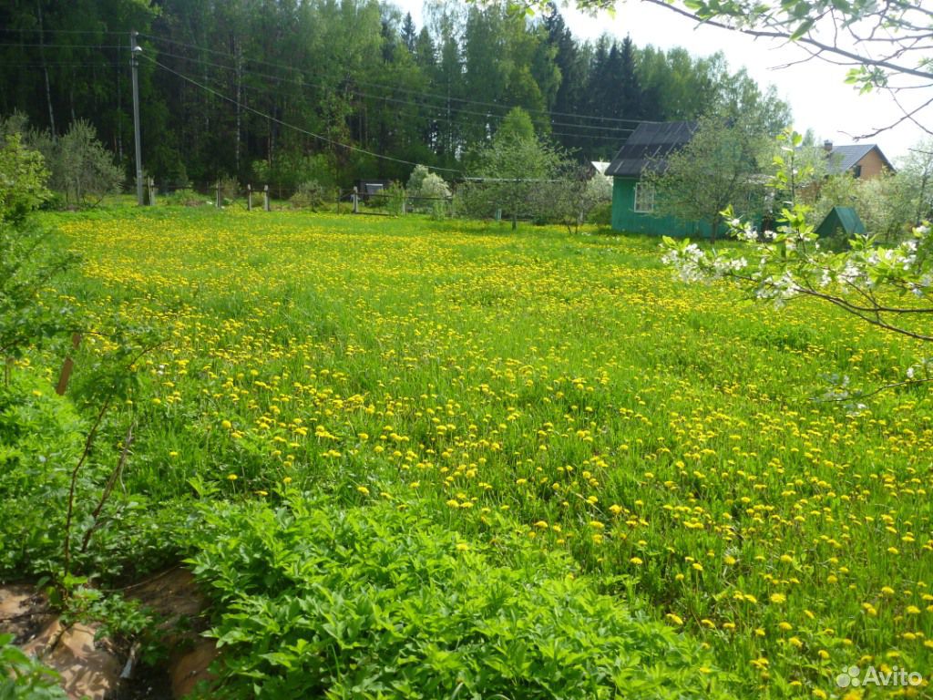 Солнечногорск Московская Область Купить Землю