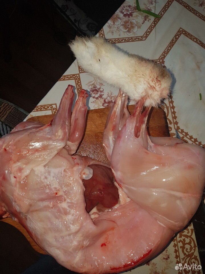 Мясо кролика купить на Зозу.ру - фотография № 2
