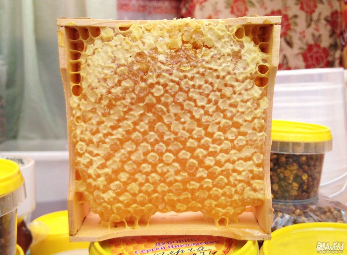 Мед и продукты пчеловодства со своей пасеки купить на Зозу.ру - фотография № 5