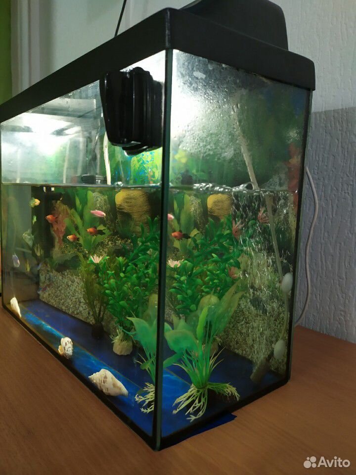 Готовый аквариум купить на Зозу.ру - фотография № 2