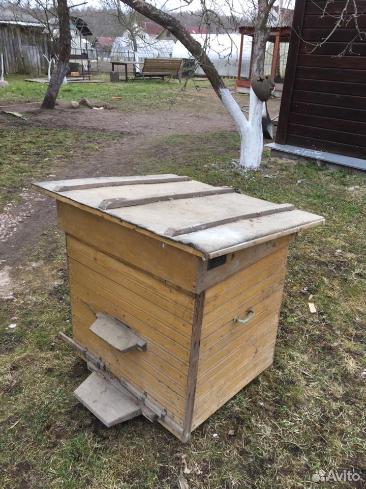 Пасека без пчел купить на Зозу.ру - фотография № 2