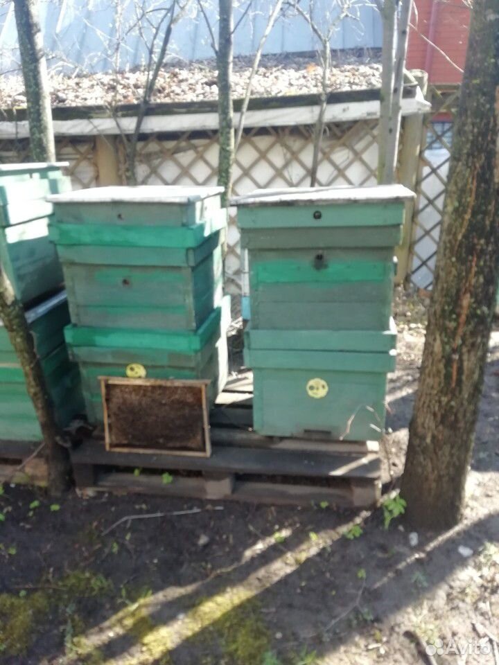 Ульи для пчёл купить на Зозу.ру - фотография № 6