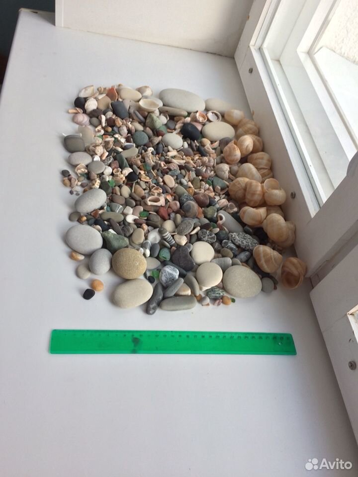 Набор в аквариум ракушки камни морские купить на Зозу.ру - фотография № 2