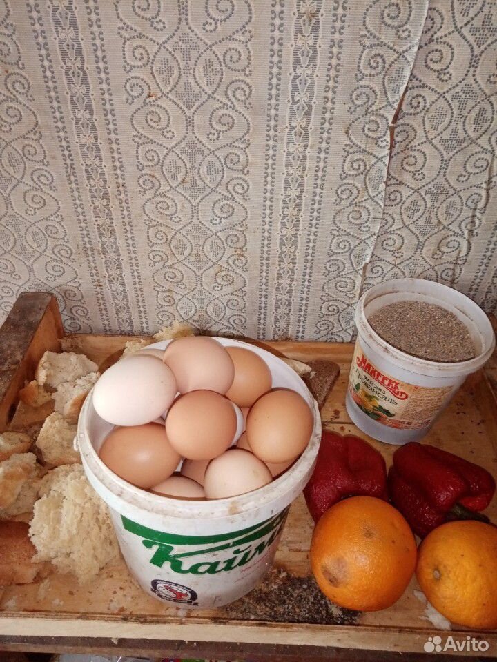 Яйцо от брамы и несушек купить на Зозу.ру - фотография № 3