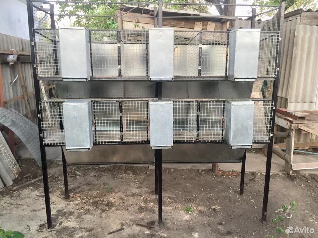 Клетка откормочная для кроликов купить на Зозу.ру - фотография № 1