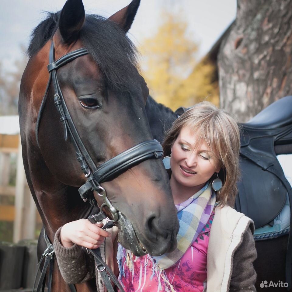 Племенная лошадь купить на Зозу.ру - фотография № 10