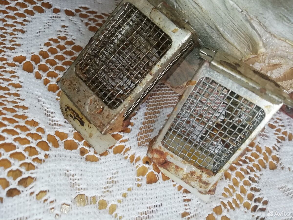 Пчелиные матки купить на Зозу.ру - фотография № 3