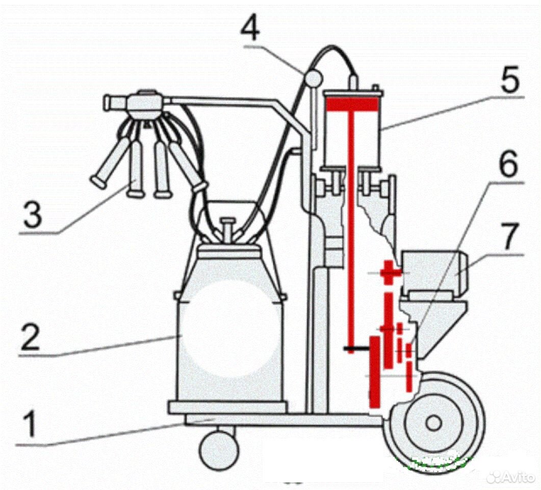 Схема доильного аппарата доюшка