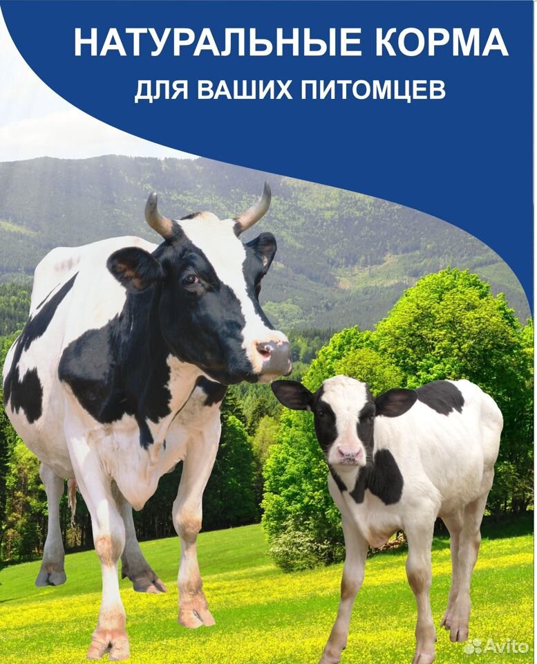Корма для животных, комбикорма купить на Зозу.ру - фотография № 1