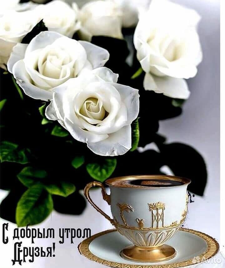 Травянные чаи купить на Зозу.ру - фотография № 1
