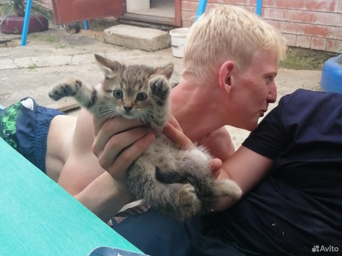 Котёнок в хорошие руки купить на Зозу.ру - фотография № 1