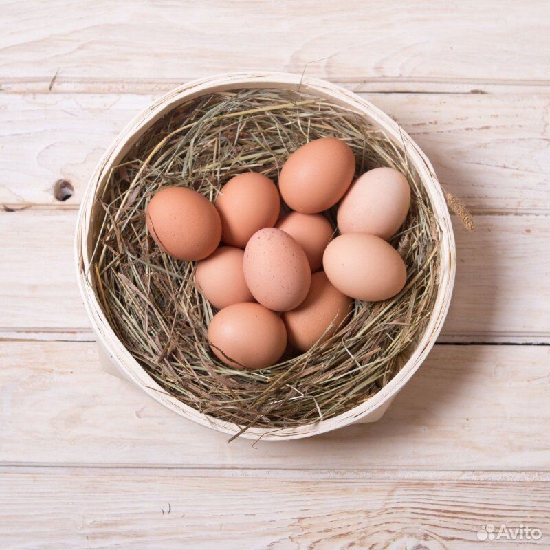 Продам инкубационное яйцо купить на Зозу.ру - фотография № 1