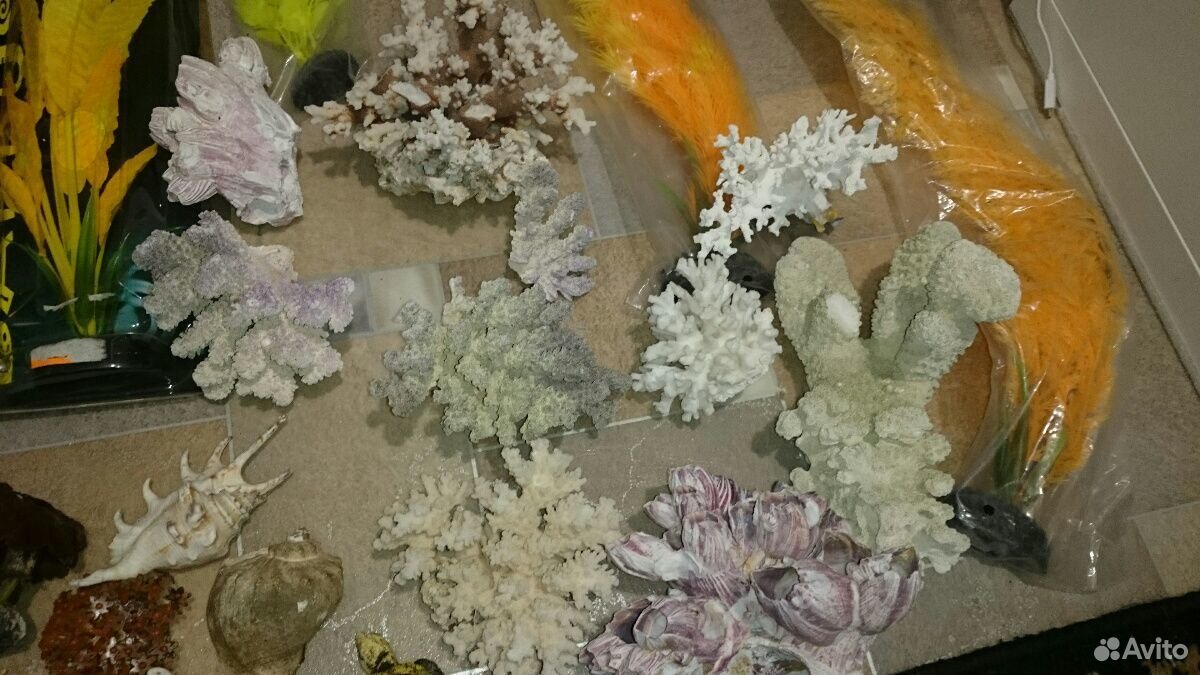 Кораллы, растения для псевдоморя купить на Зозу.ру - фотография № 2