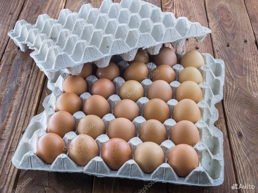 Яйцо на инкубацию купить на Зозу.ру - фотография № 1