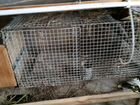 Клетки для кроликов из оцинкованной сварной сетки объявление продам