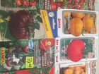 Рассада помидор,огурцов,кабачков,цветов объявление продам