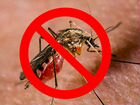 Избавим от насекомых мух комаров тли объявление продам
