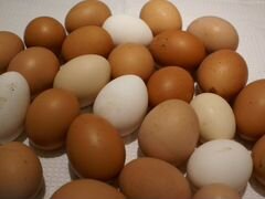 Яйца домашние (диетические)
