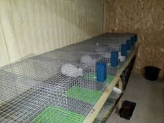 Клетки и оборудование для кроликофермы