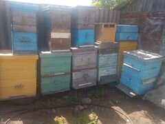 Продам двухкорпусные ульи для пчёл