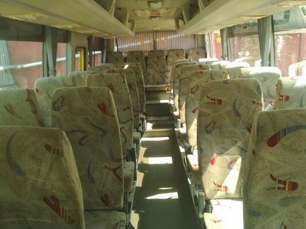 Автобус shenlong SLK6798F1A