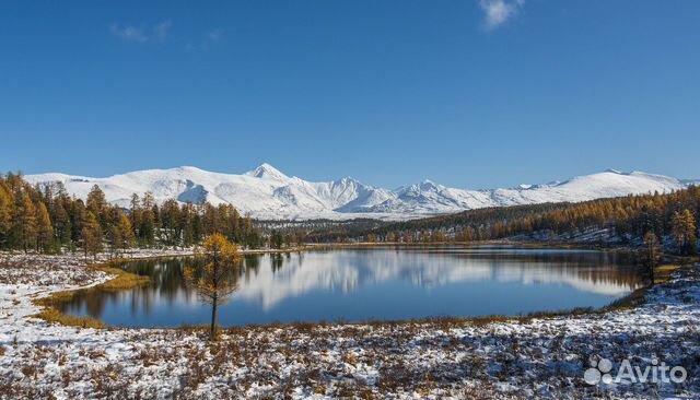 Осенний Алтай Фото