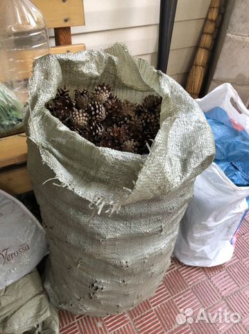 Шишки мешок