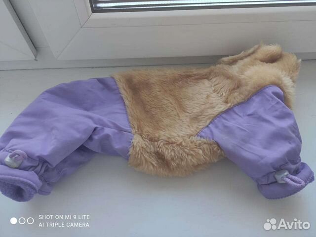 Одежда для маленьких собак