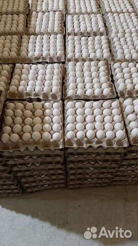 Яйцо куриное фермерское
