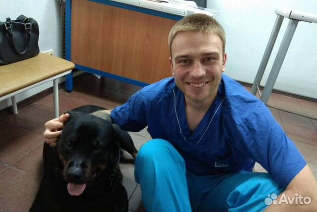 Ветеринарный врач с выездом