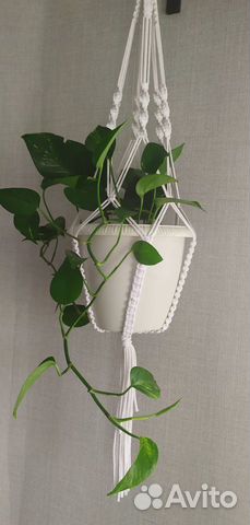 Кашпо подвесное