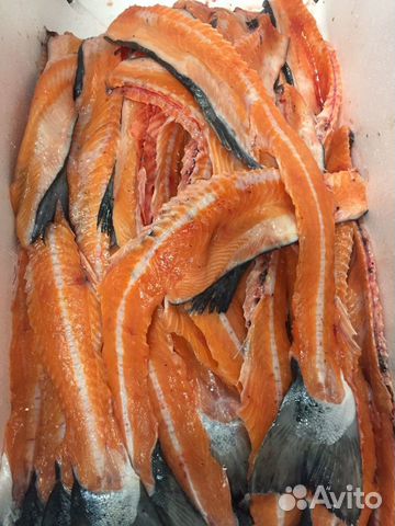 Хребты лосося (семги)