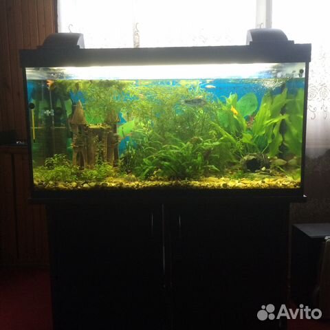 Продам аквариум 200 л купить на Зозу.ру - фотография № 2