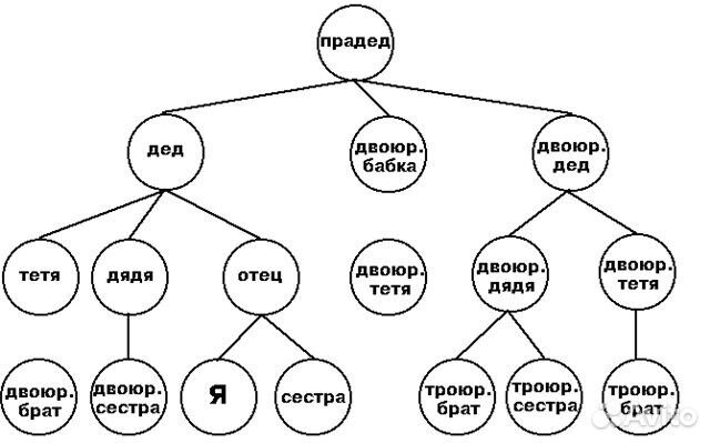 Составление родословной программа