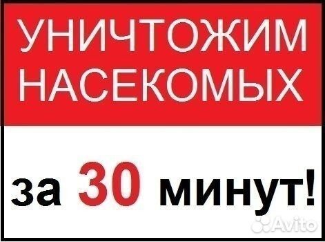 обработка крыс от паразитов обработка крыс от паразитов