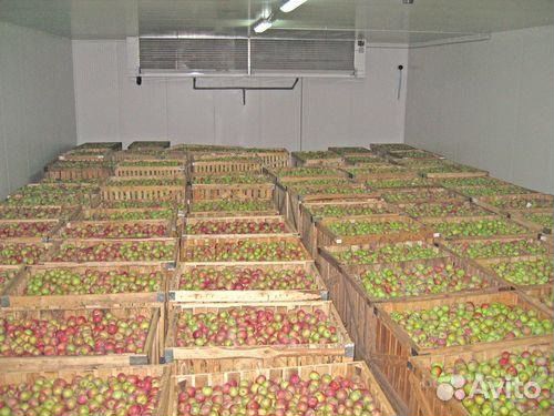 Овощехранилище, фруктохранилище, яблокохранилище