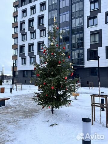 

1-к. квартира, 32 м², 2 кровати
