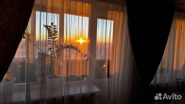 

Квартира-студия, 36 м², 1 кровать