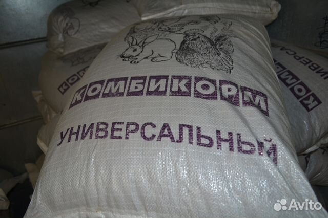 Пшеница,овёс,ячмень купить на Зозу.ру - фотография № 6