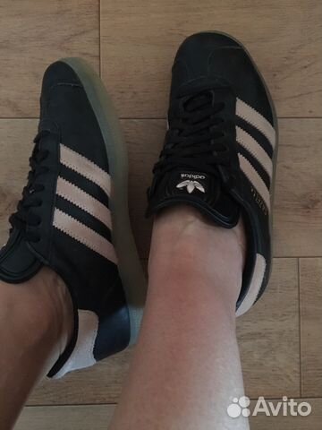 gazelle 37