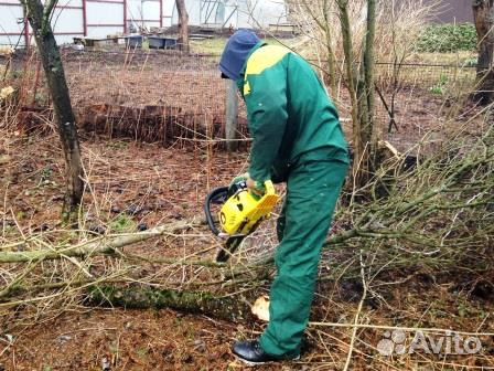 Вывоз мусора, расчистка участков, спил деревьев, к