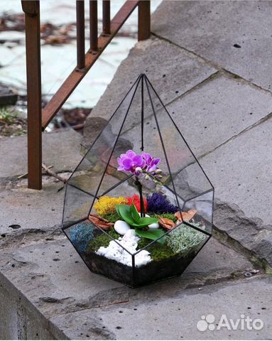 Флорариум, доставка цветов