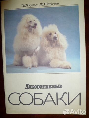 Декоративные собаки