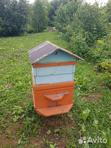 Пасека со всем необходимым для пчеловода купить на Зозу.ру - фотография № 5